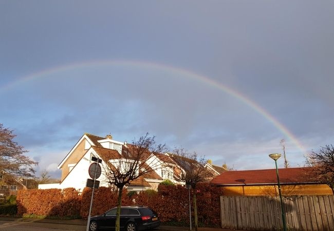 Unter einem bewölkten Himmel wölbt sich ein leuchtender Regenbogen über Vorstadthäusern, darunter sind herbstliche Bäume und ein geparktes Auto zu sehen.