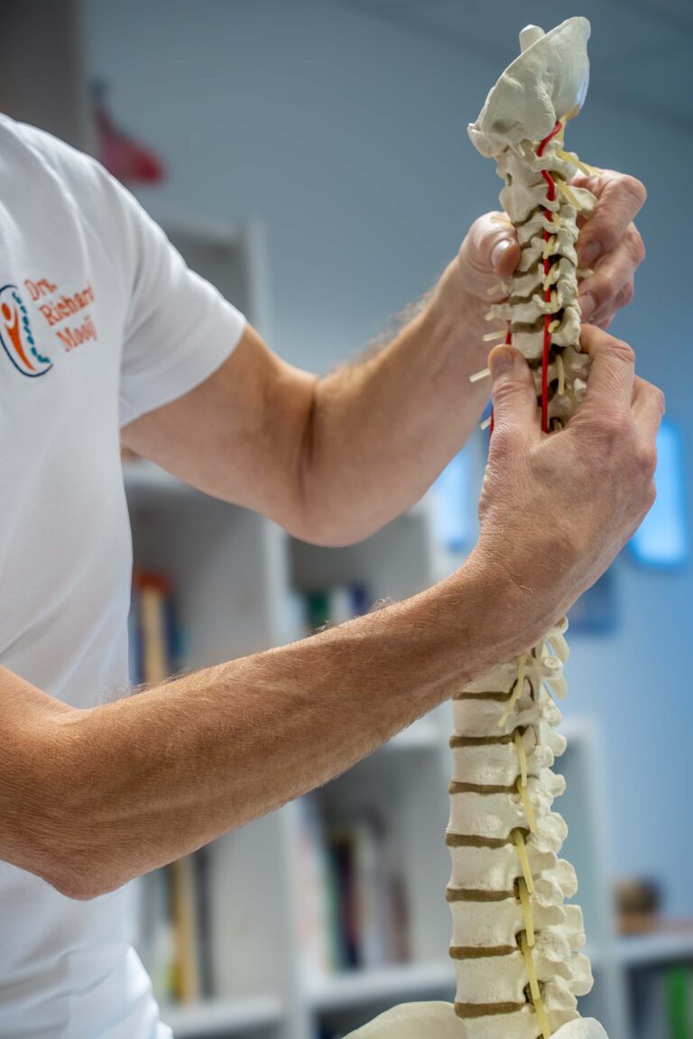 Hände halten Skelett Wirbelsäule